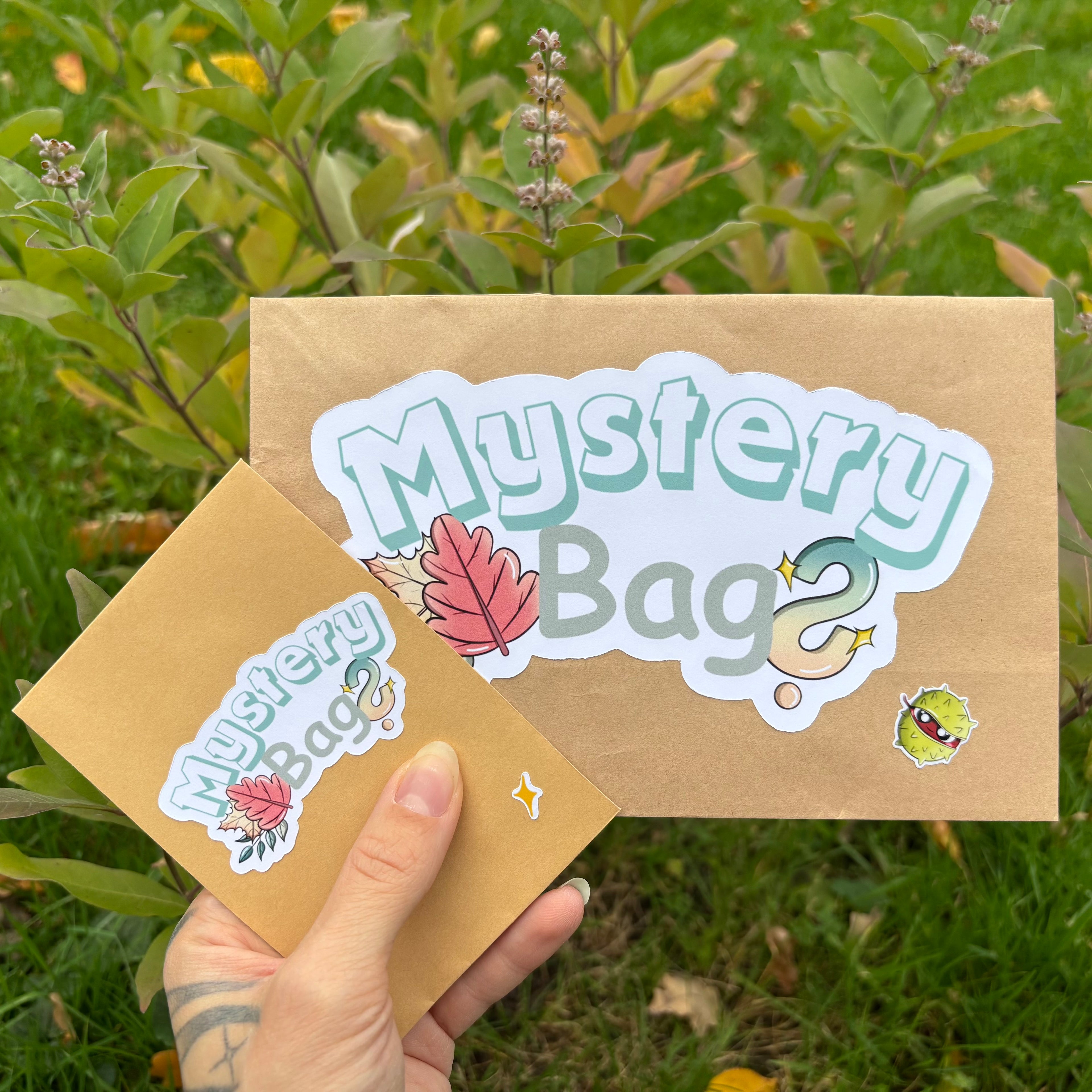 Mystery Bag