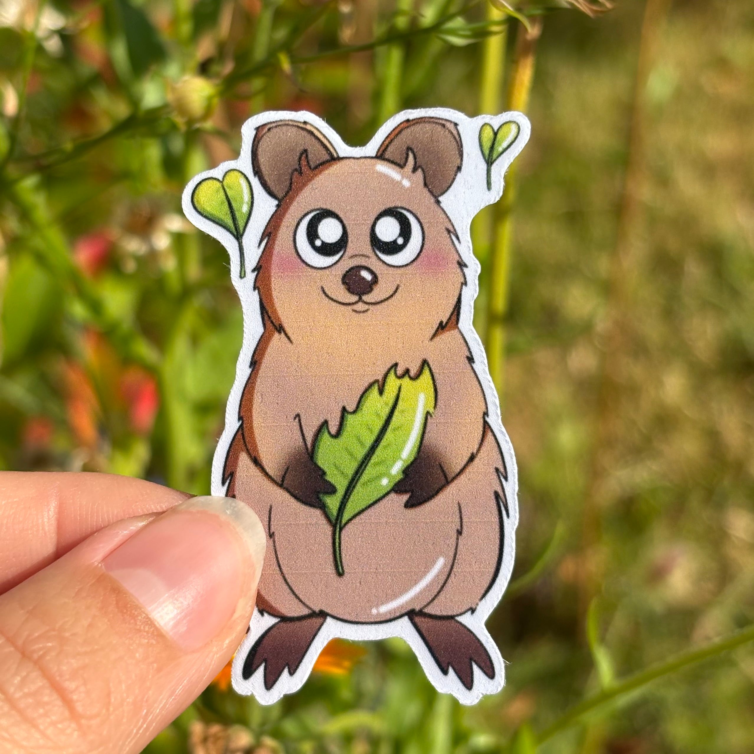 Sticker - Quokka