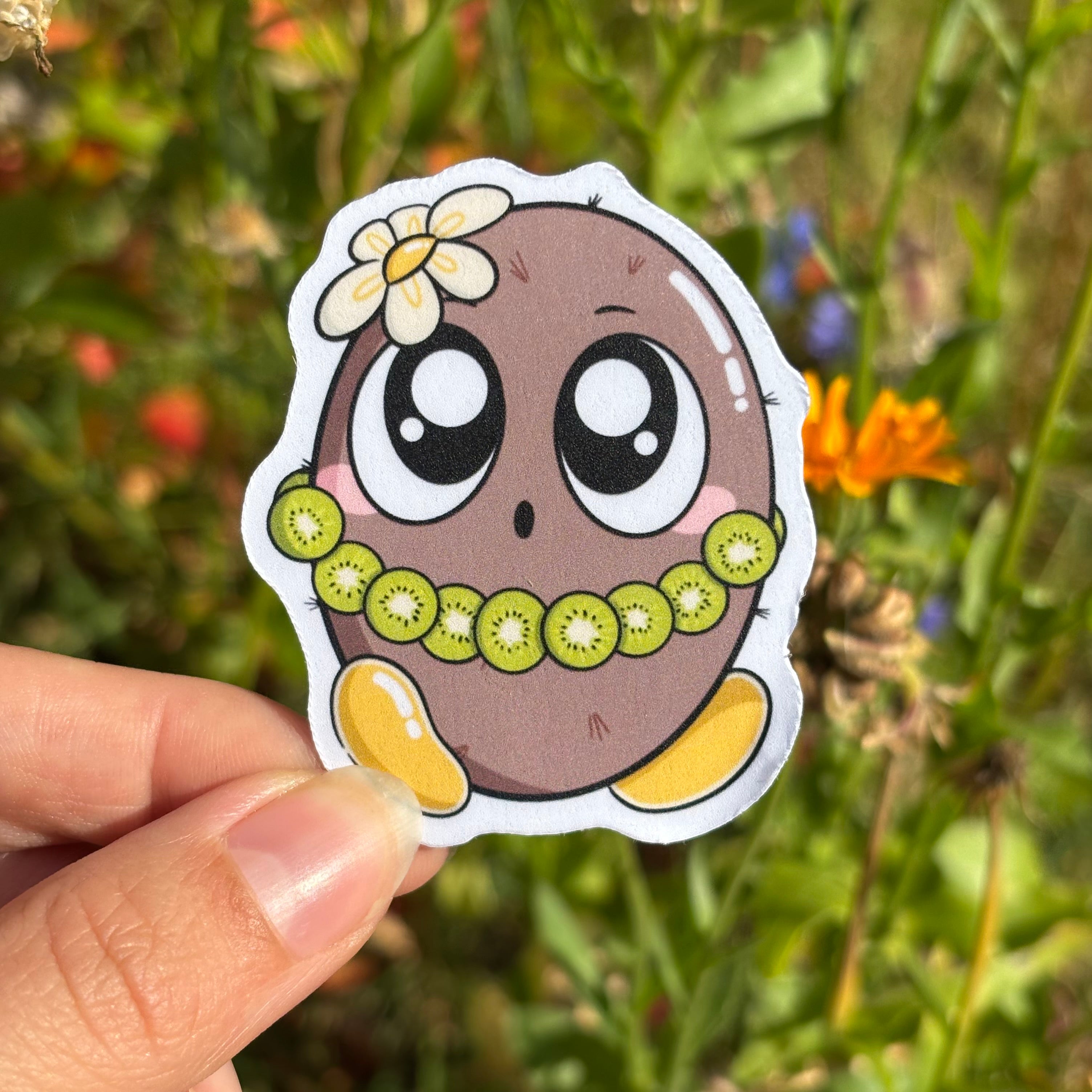 Sticker - Kiwi