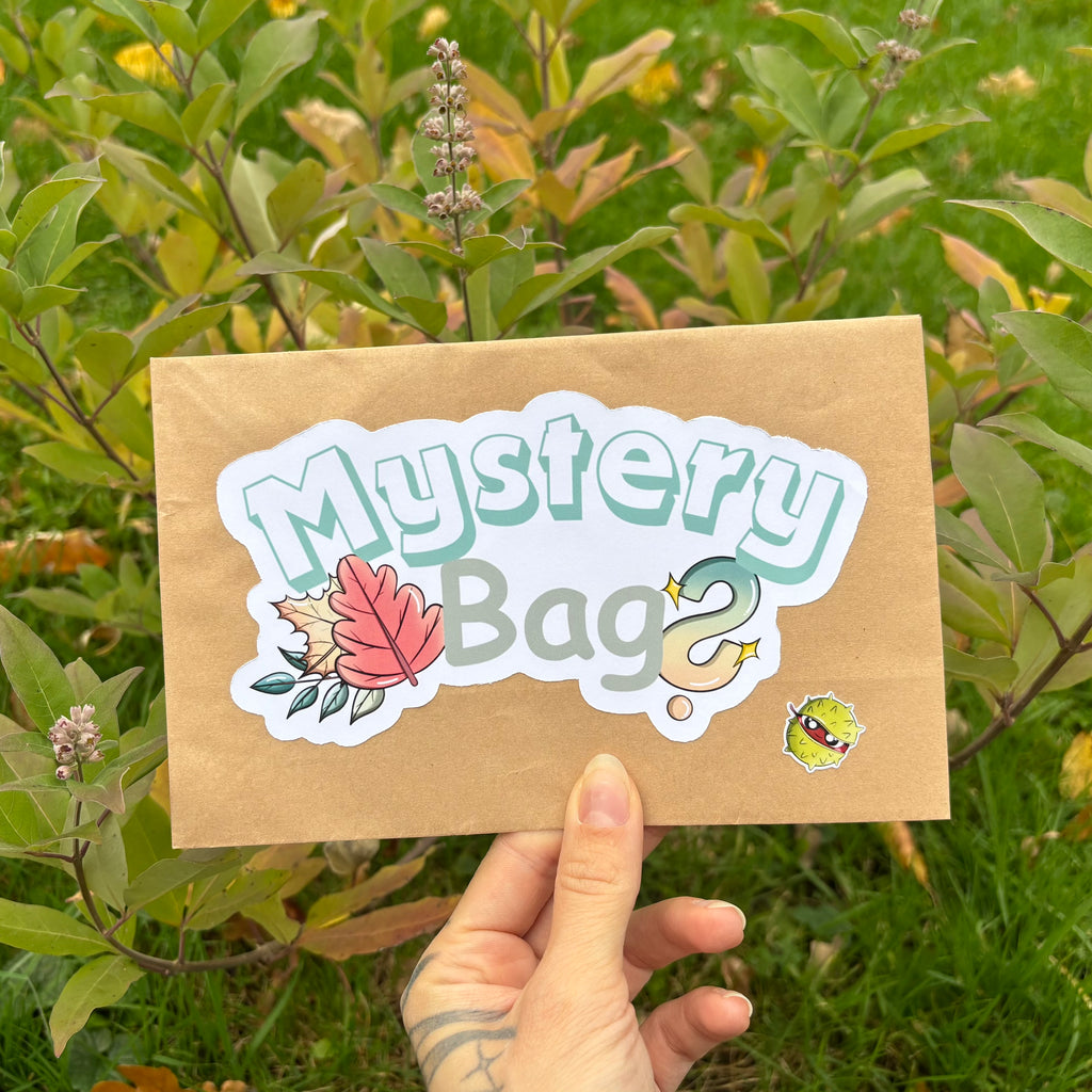 Mystery Bag