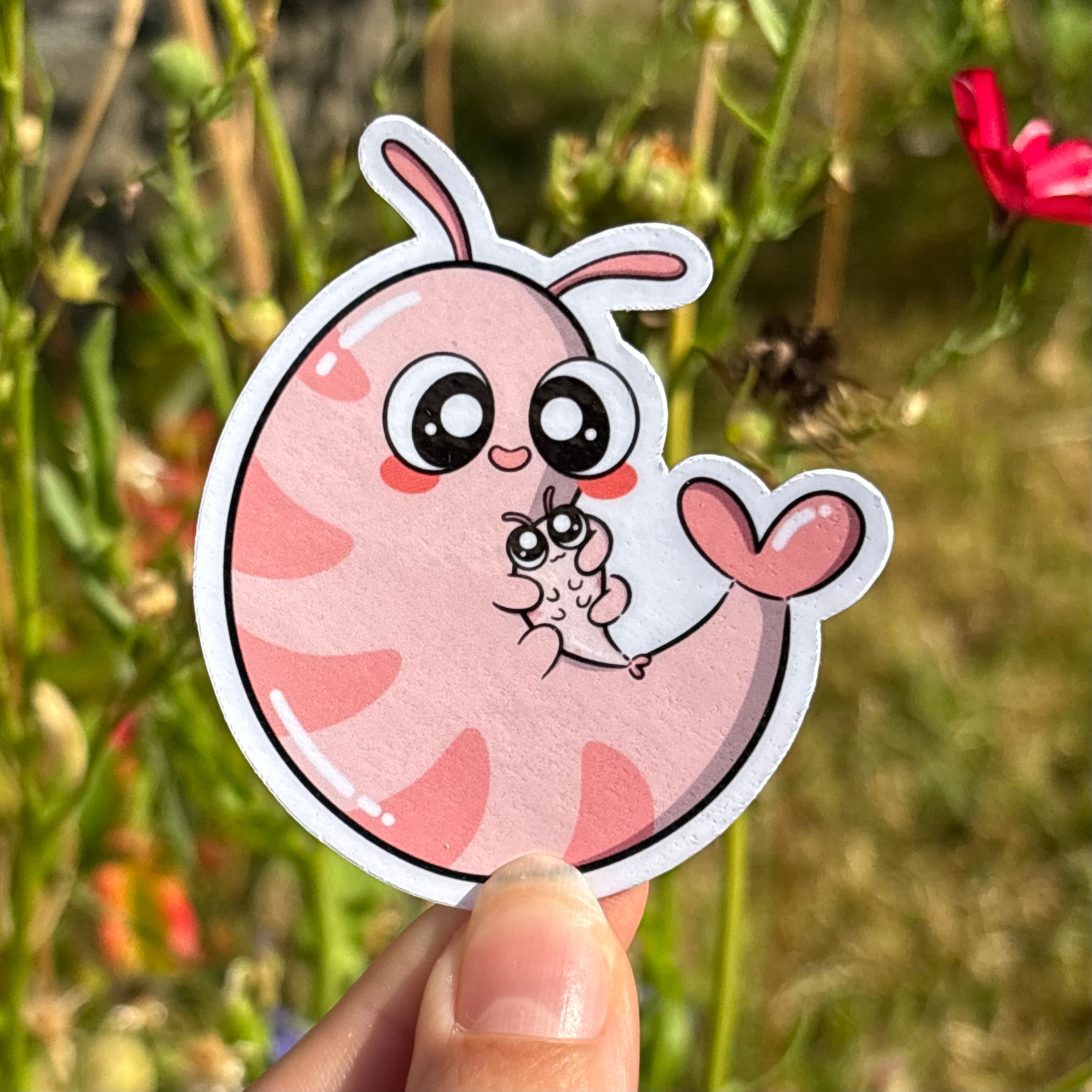 Sticker - Shrimp