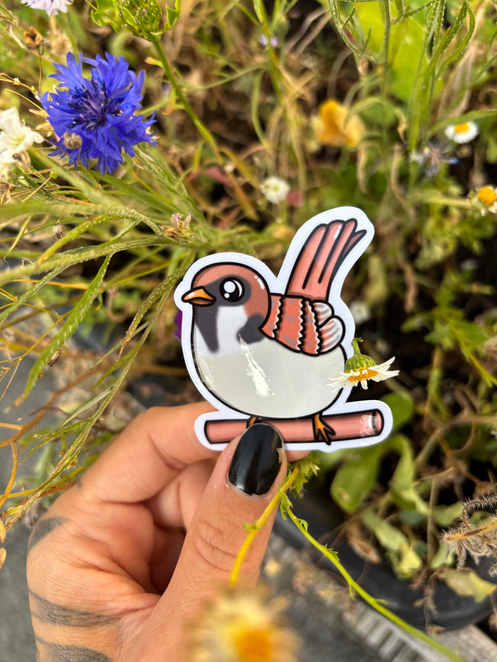 Sticker - Spatz
