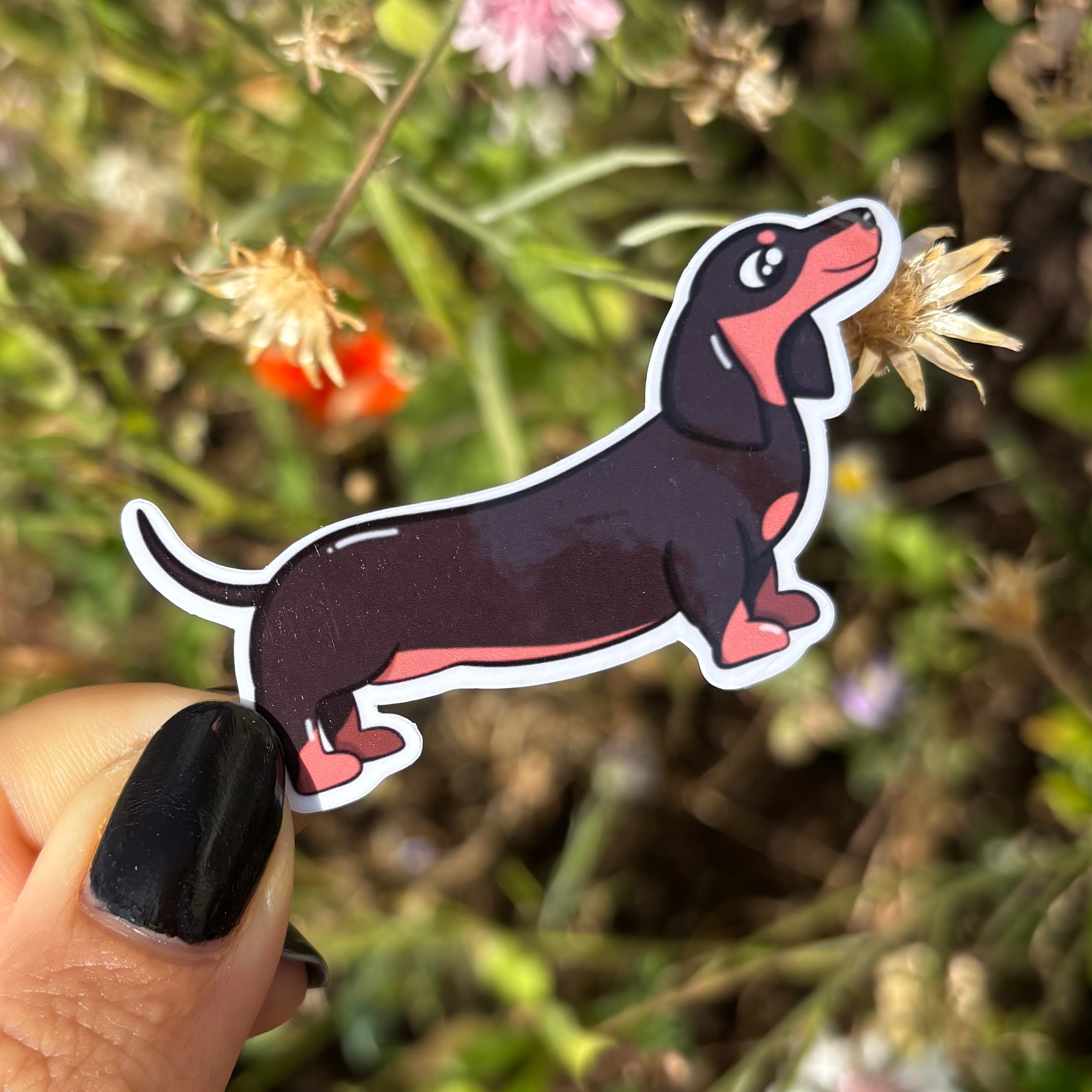 Sticker - Dackel