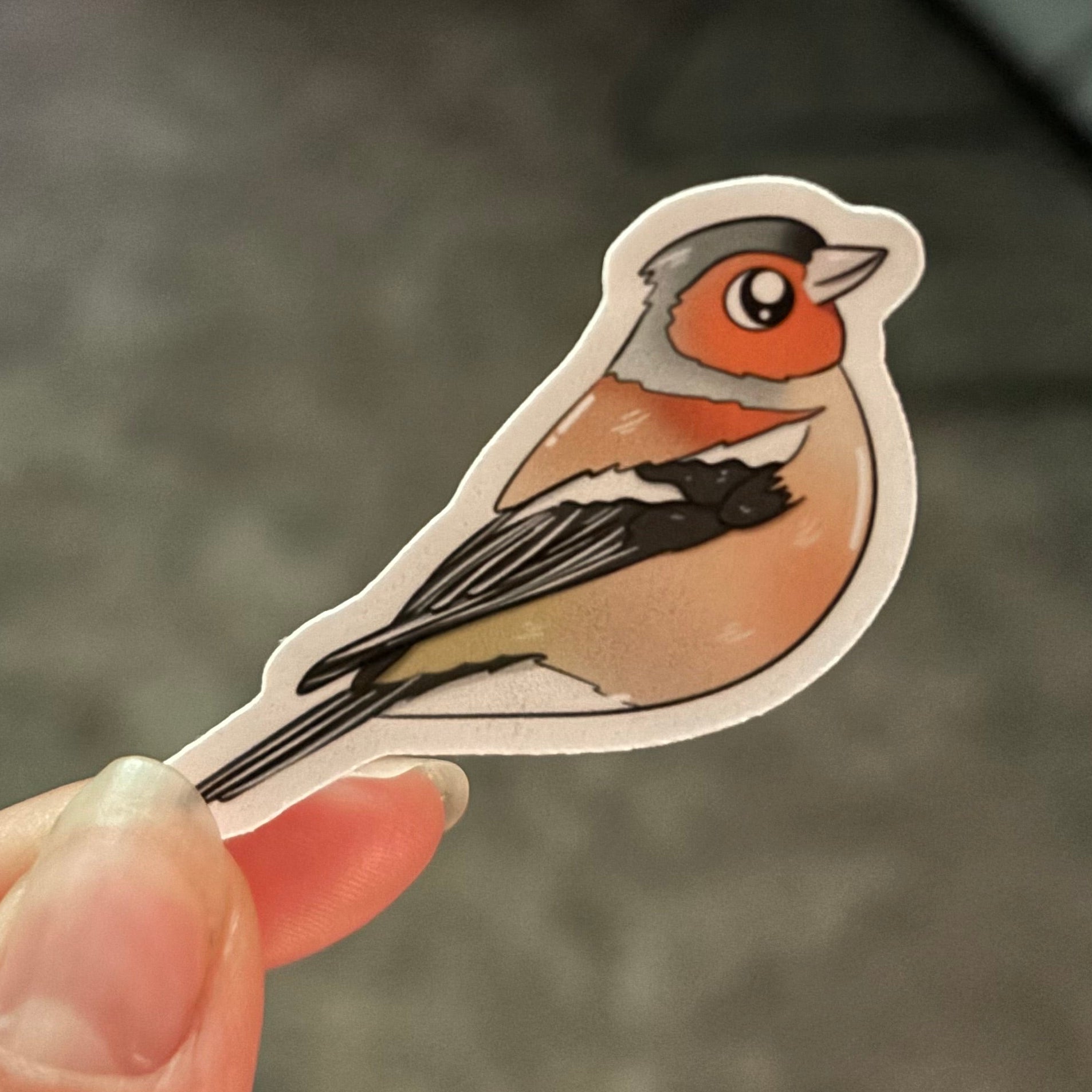 Sticker - Buchfink