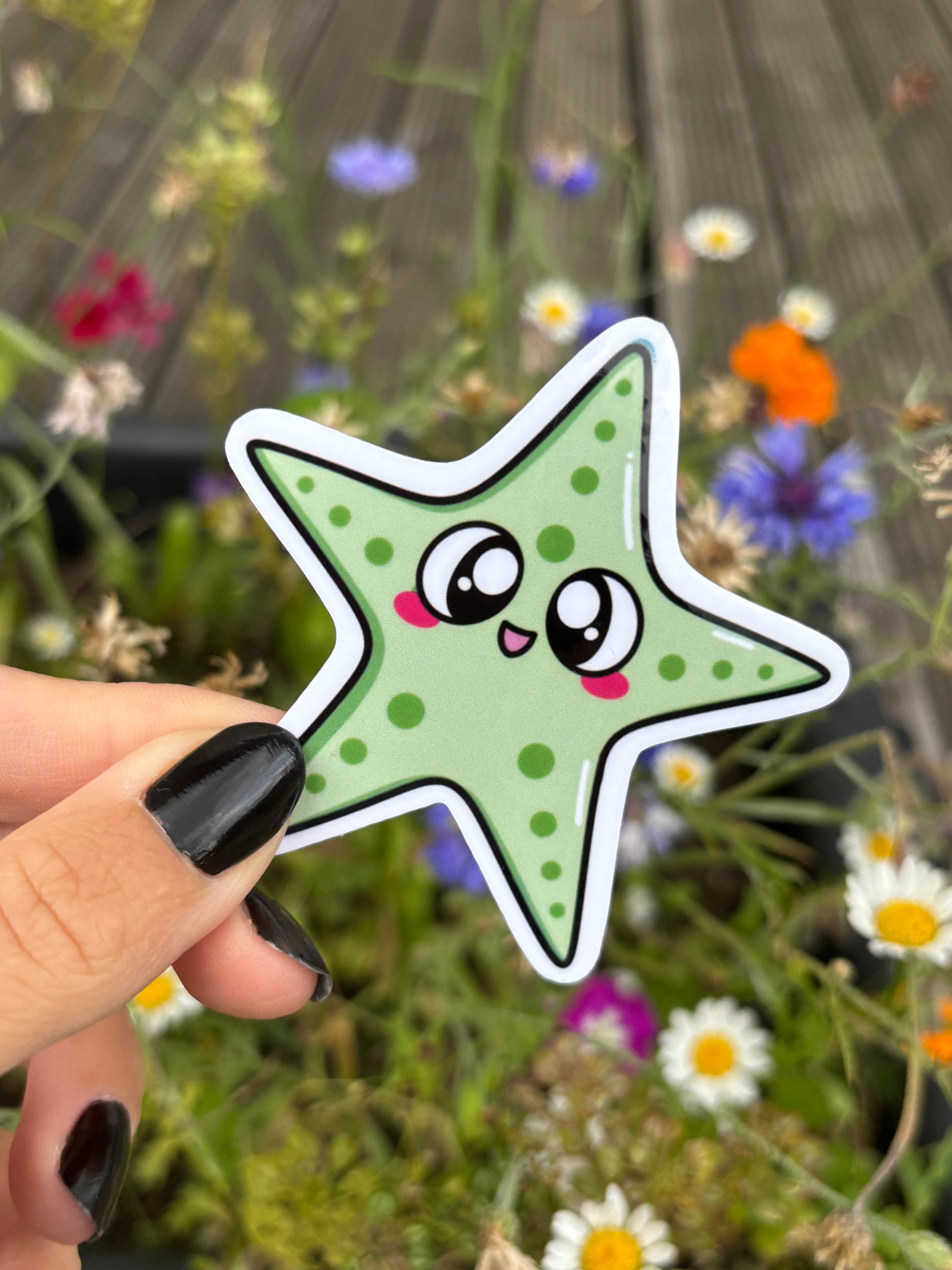 Sticker - Seestern