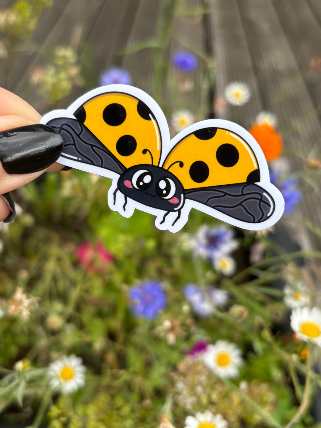Sticker - Marienkäfer