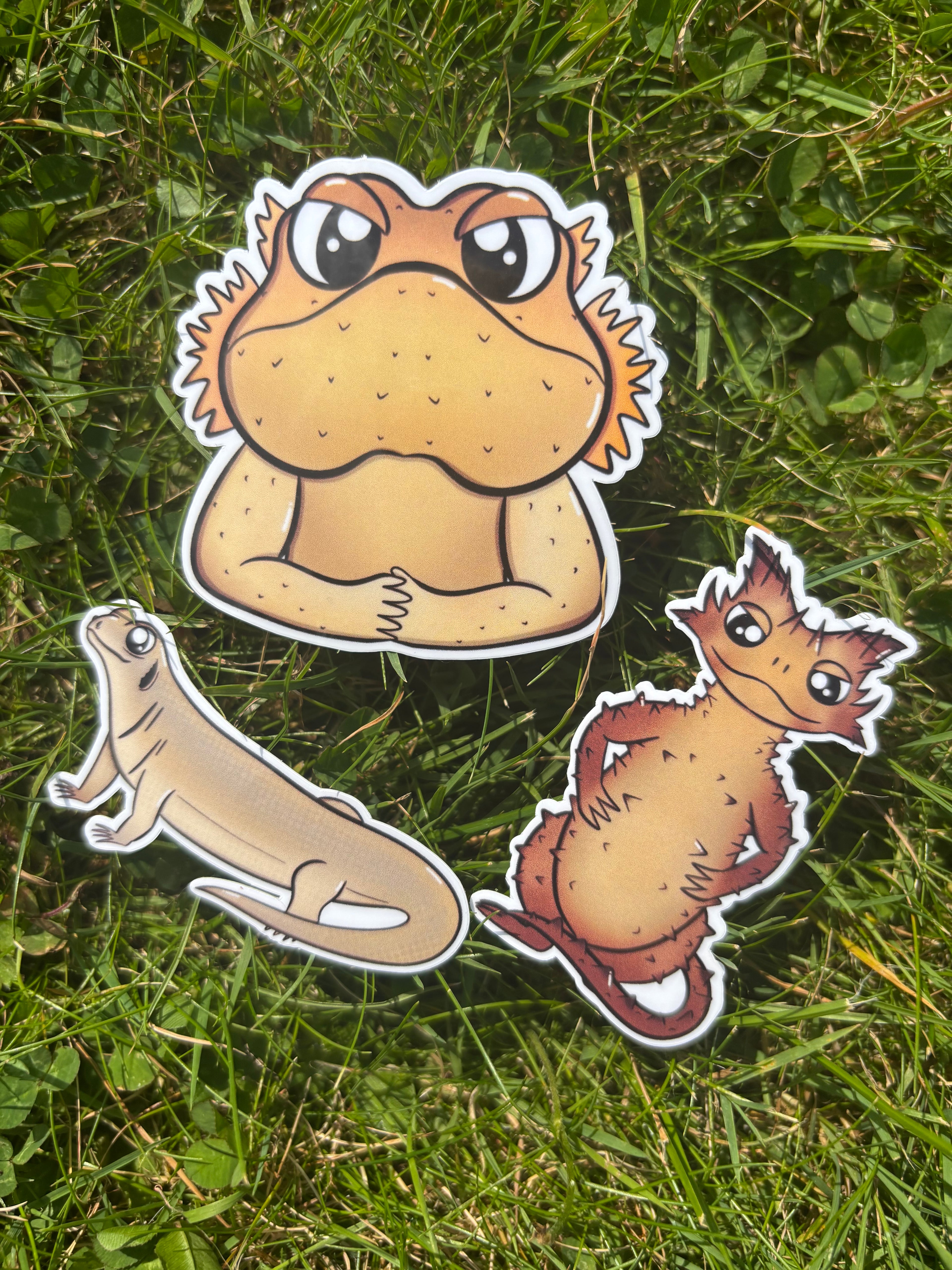 Sticker - Reptilien
