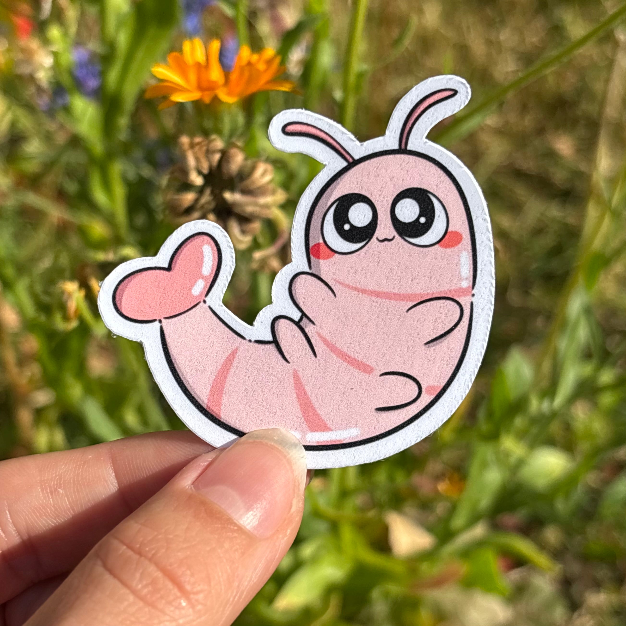 Sticker - Shrimp