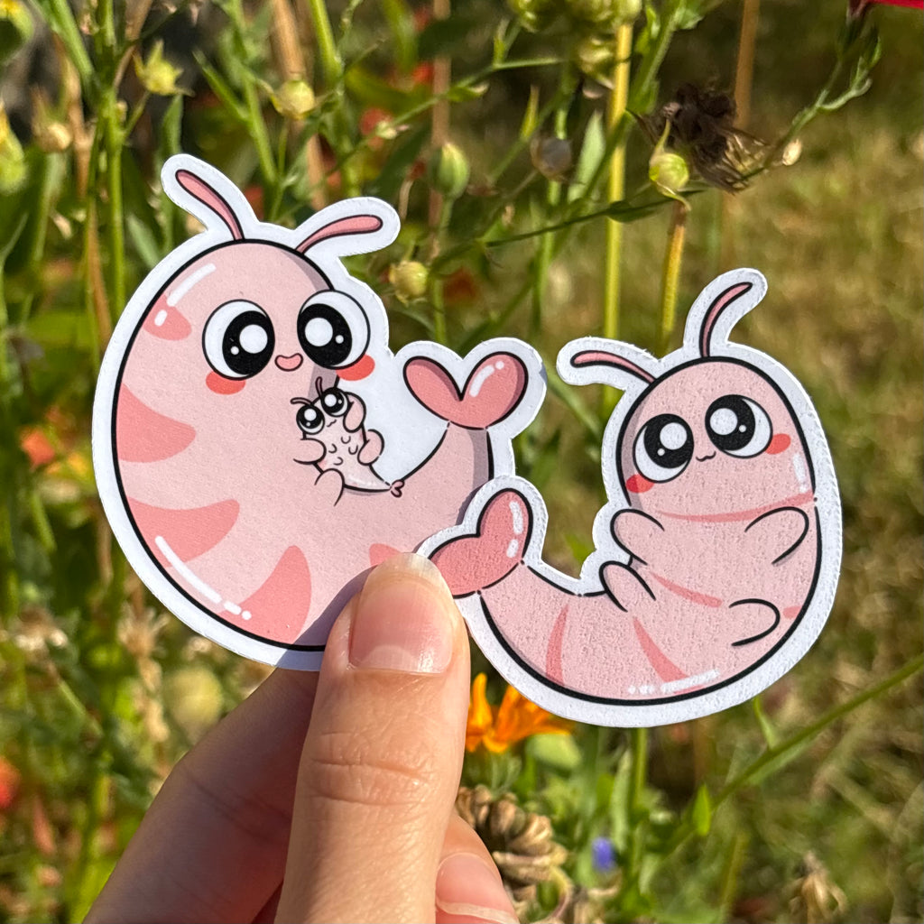 Sticker - Shrimp
