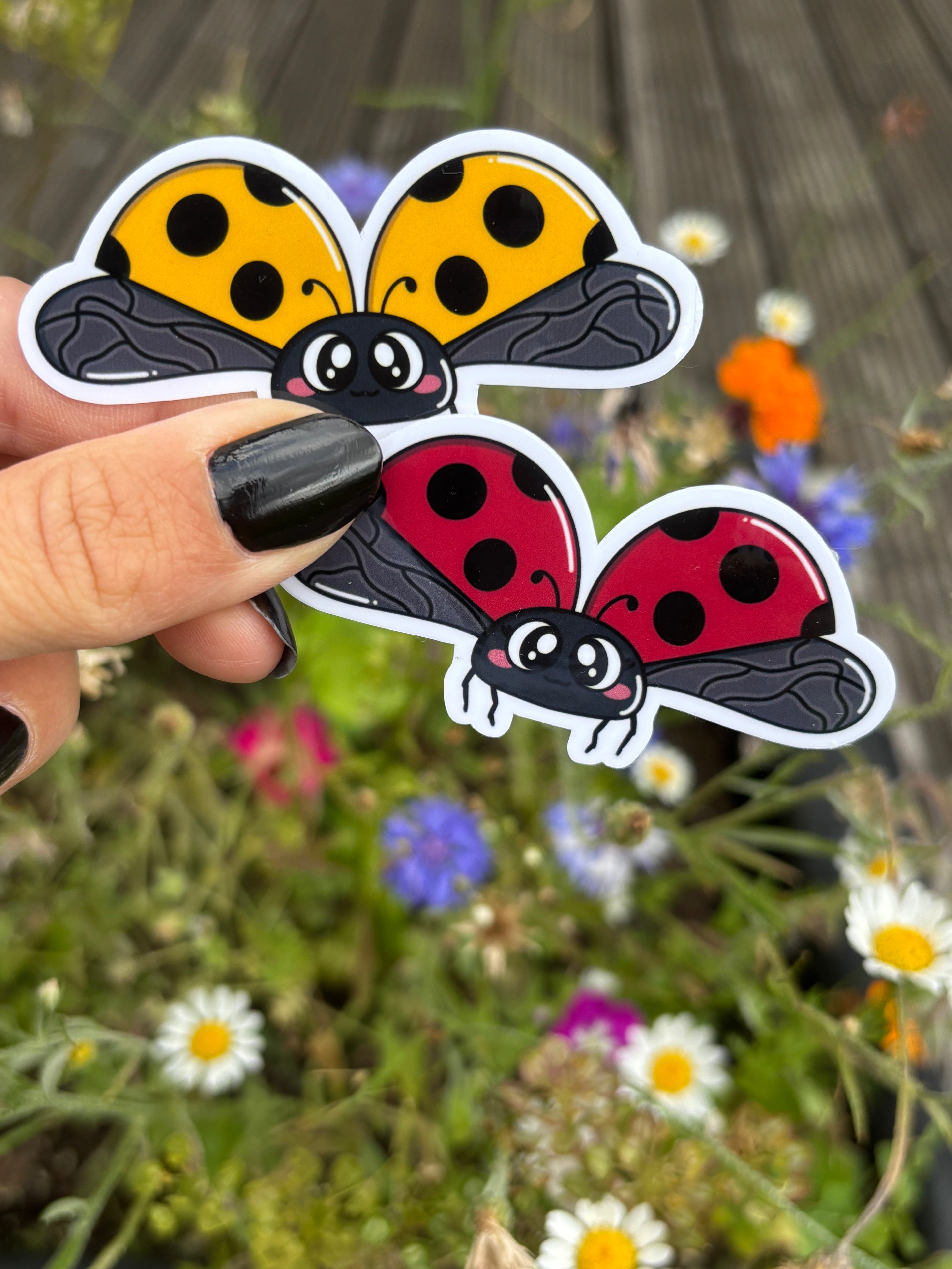 Sticker - Marienkäfer