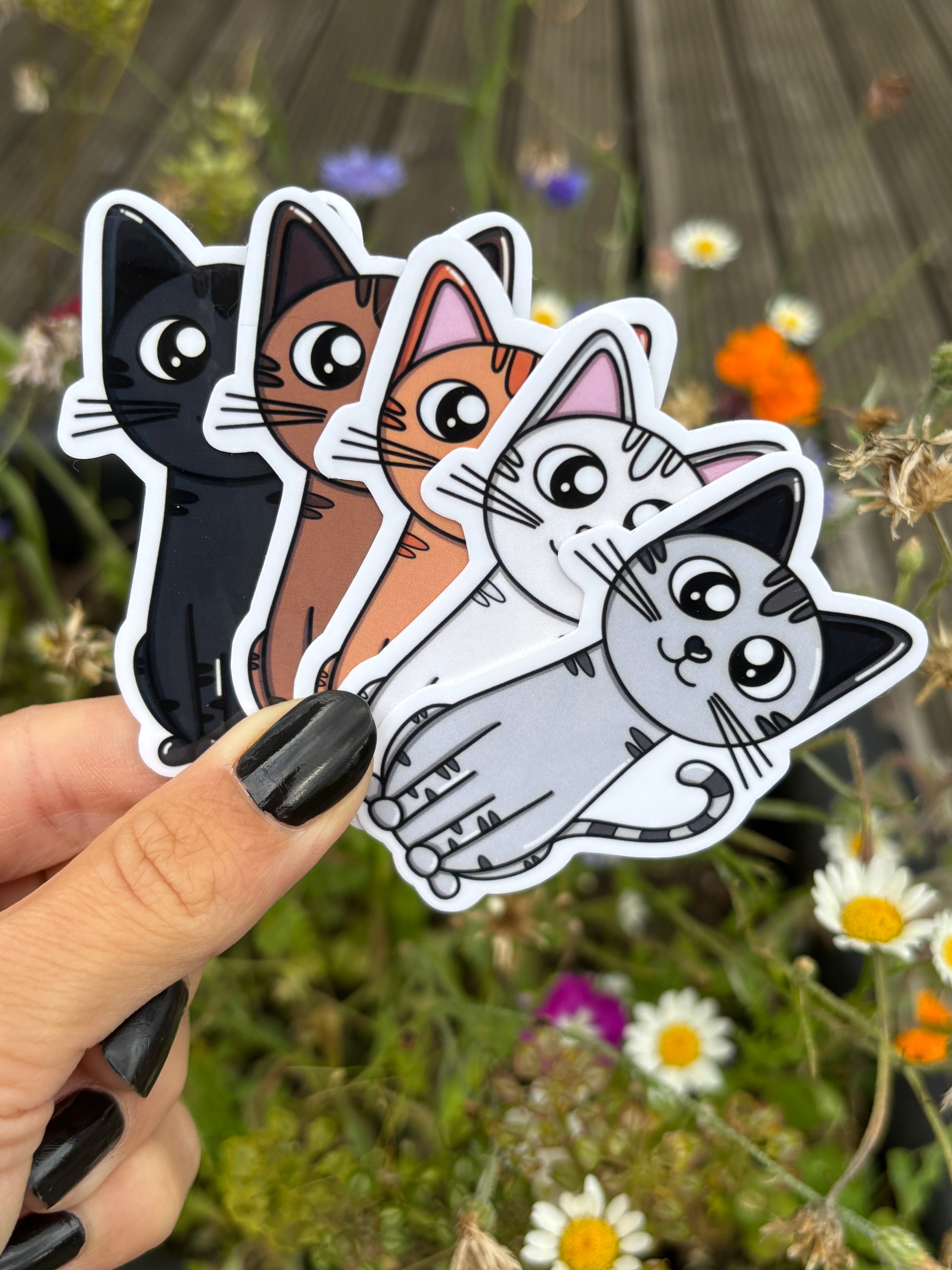 Sticker - Katze