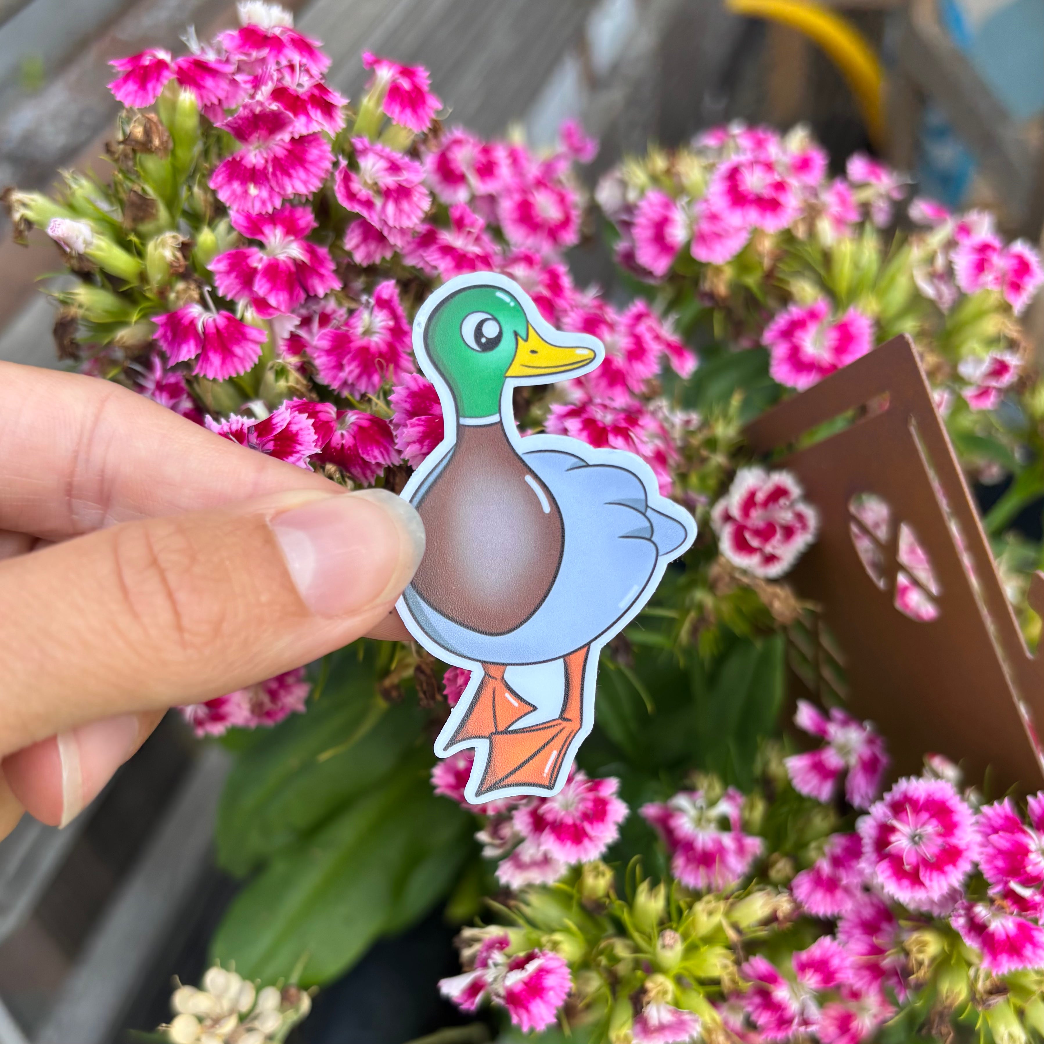 Sticker - Ente