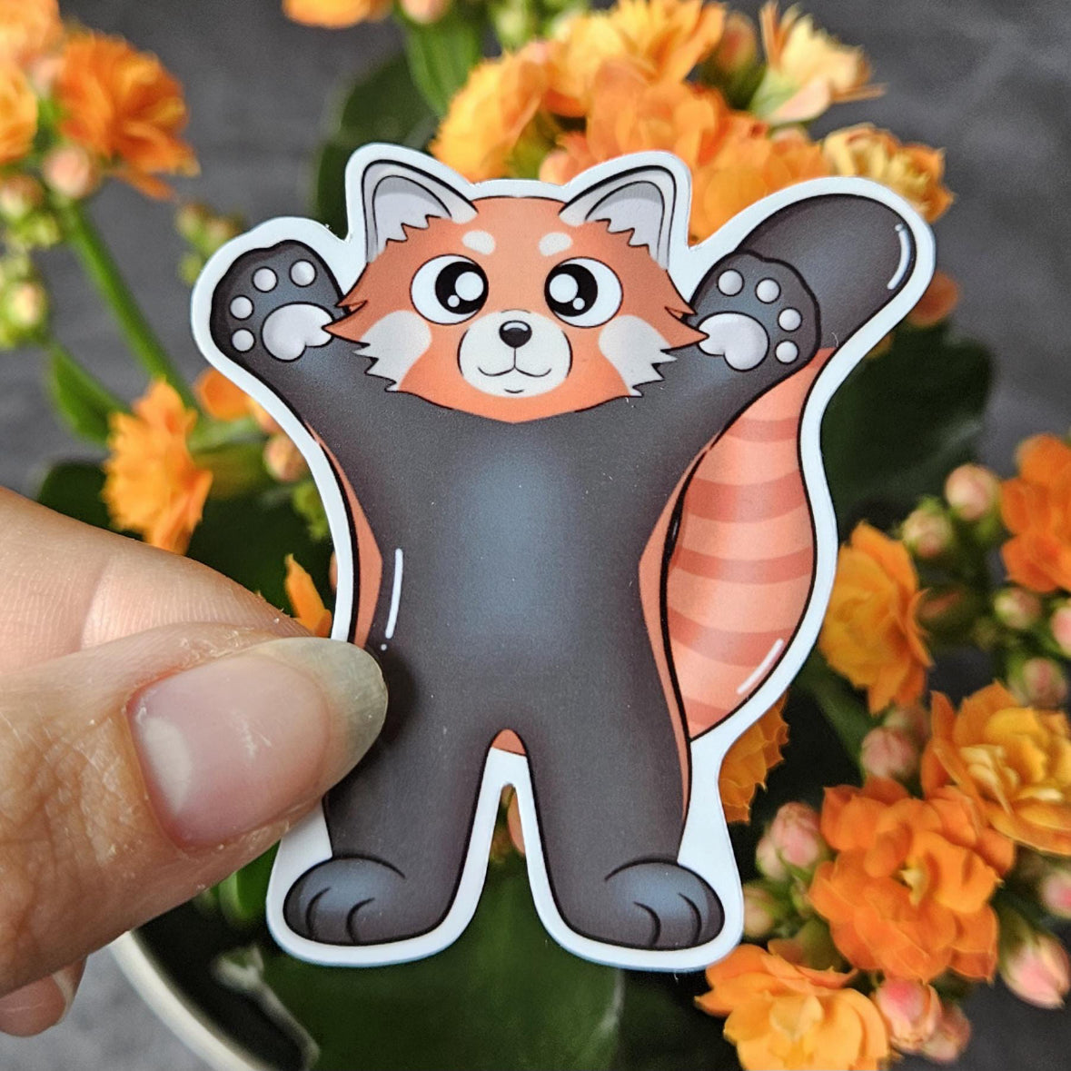 Sticker - Roter Panda
