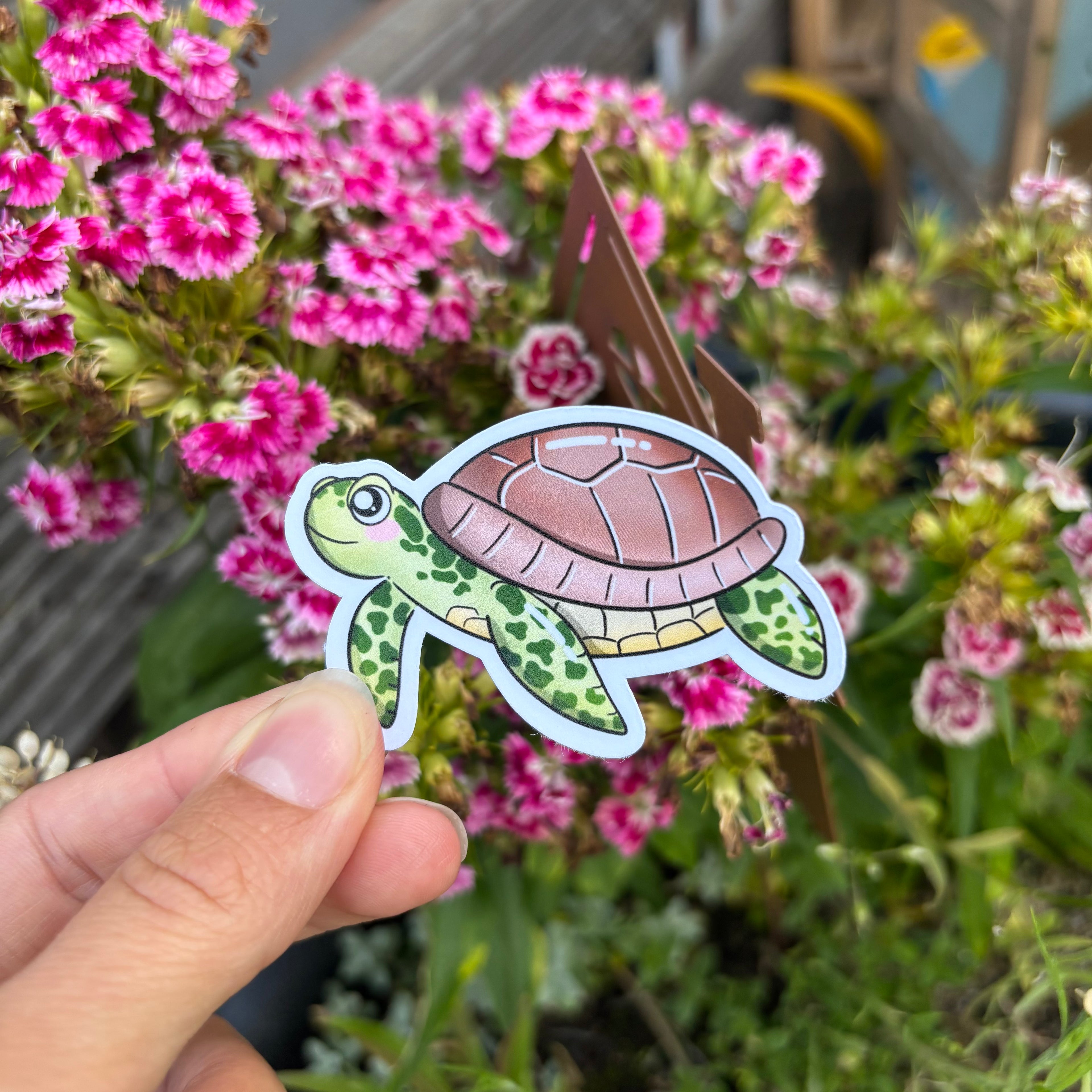 Sticker - Schildkröte