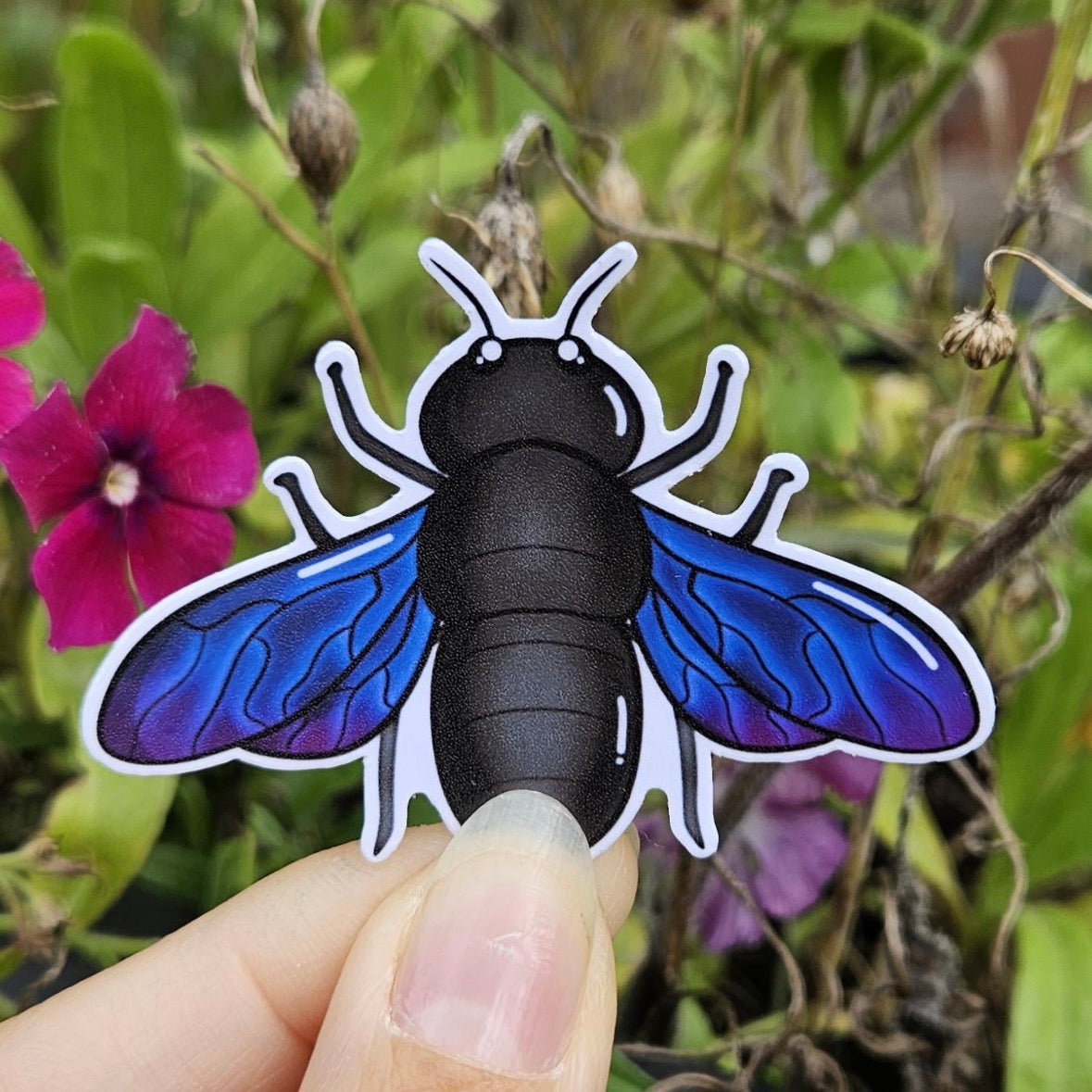 Sticker - Insekten