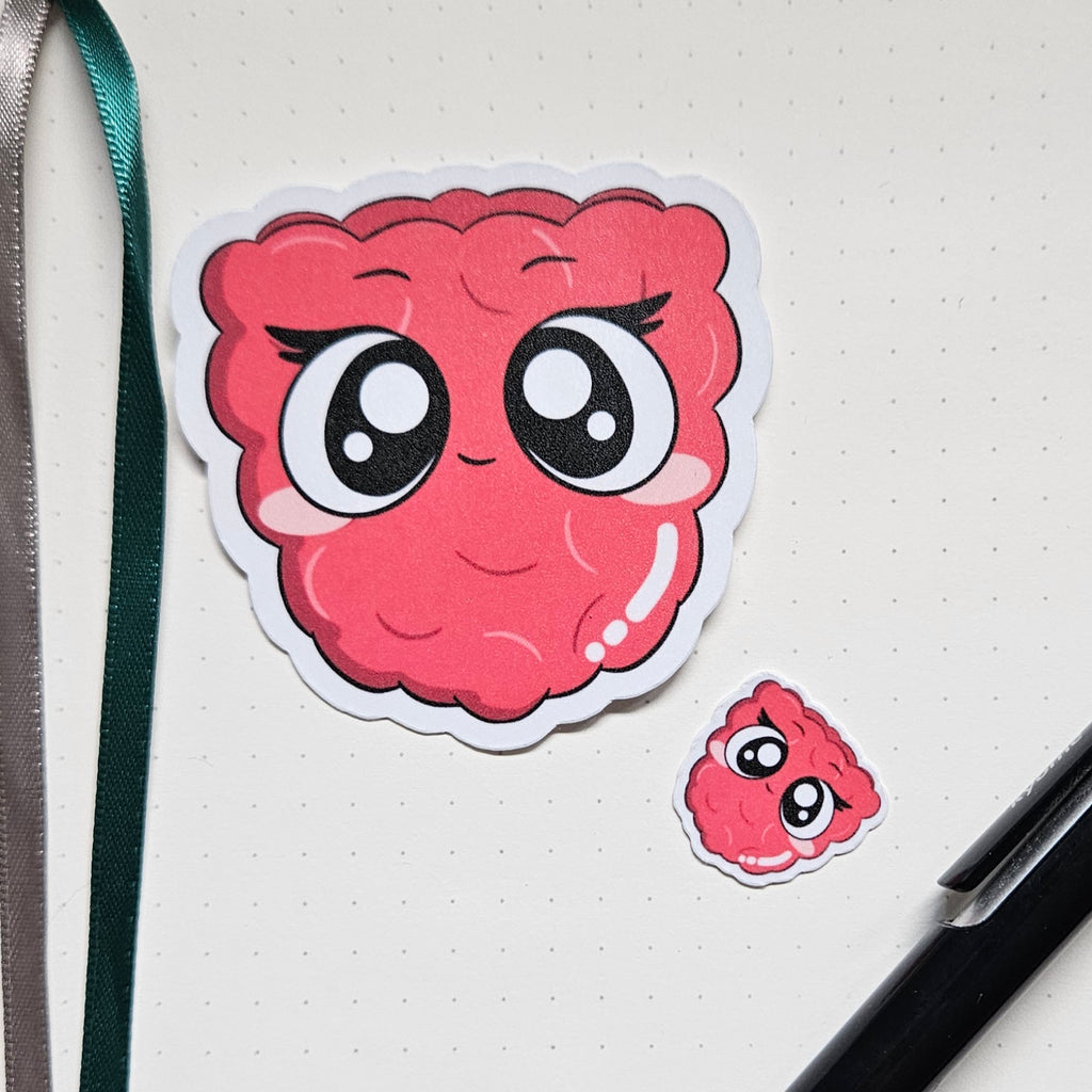 Sticker - Himbeere